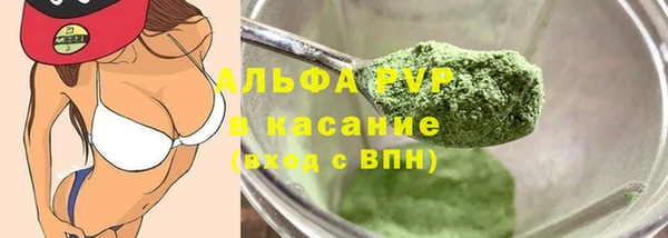 твердый Арсеньев