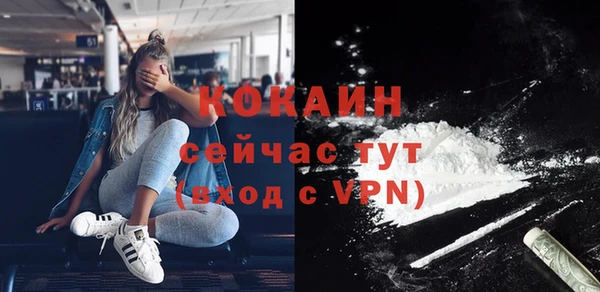твердый Арсеньев
