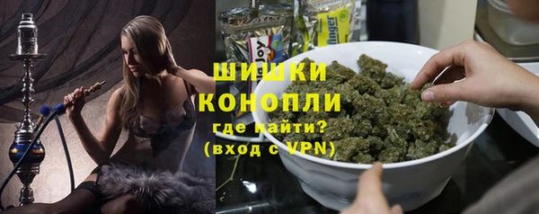 твердый Арсеньев