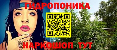 a pvp Кунгур