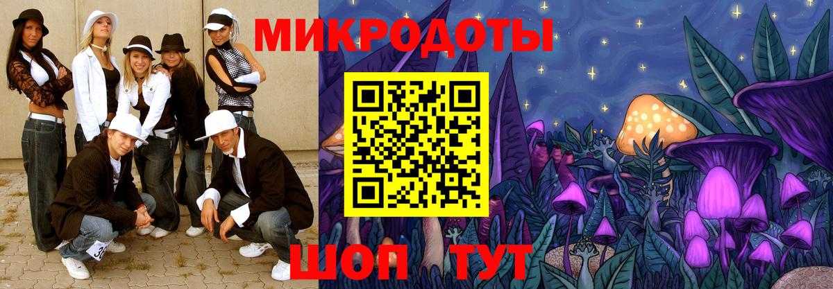 Кирово-Чепецк  Псилоцибиновые грибы Psilocybe  Вход с VPN 
