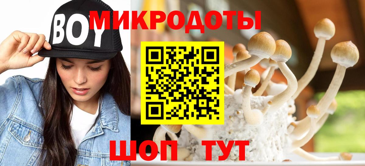 Бошки Шишки Кирово-Чепецк