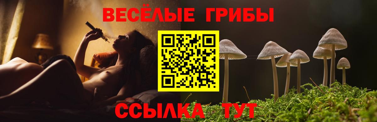 Галлюциногенные грибы GOLDEN TEACHER Кирово-Чепецк